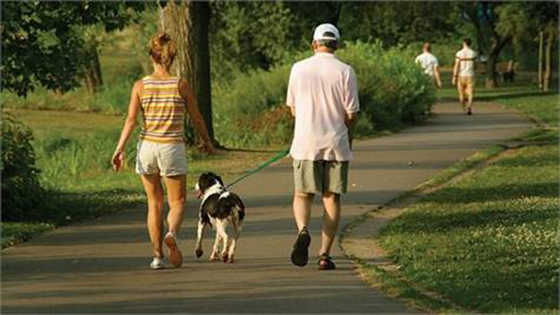 Beneficios del deporte para perros en un parque canino