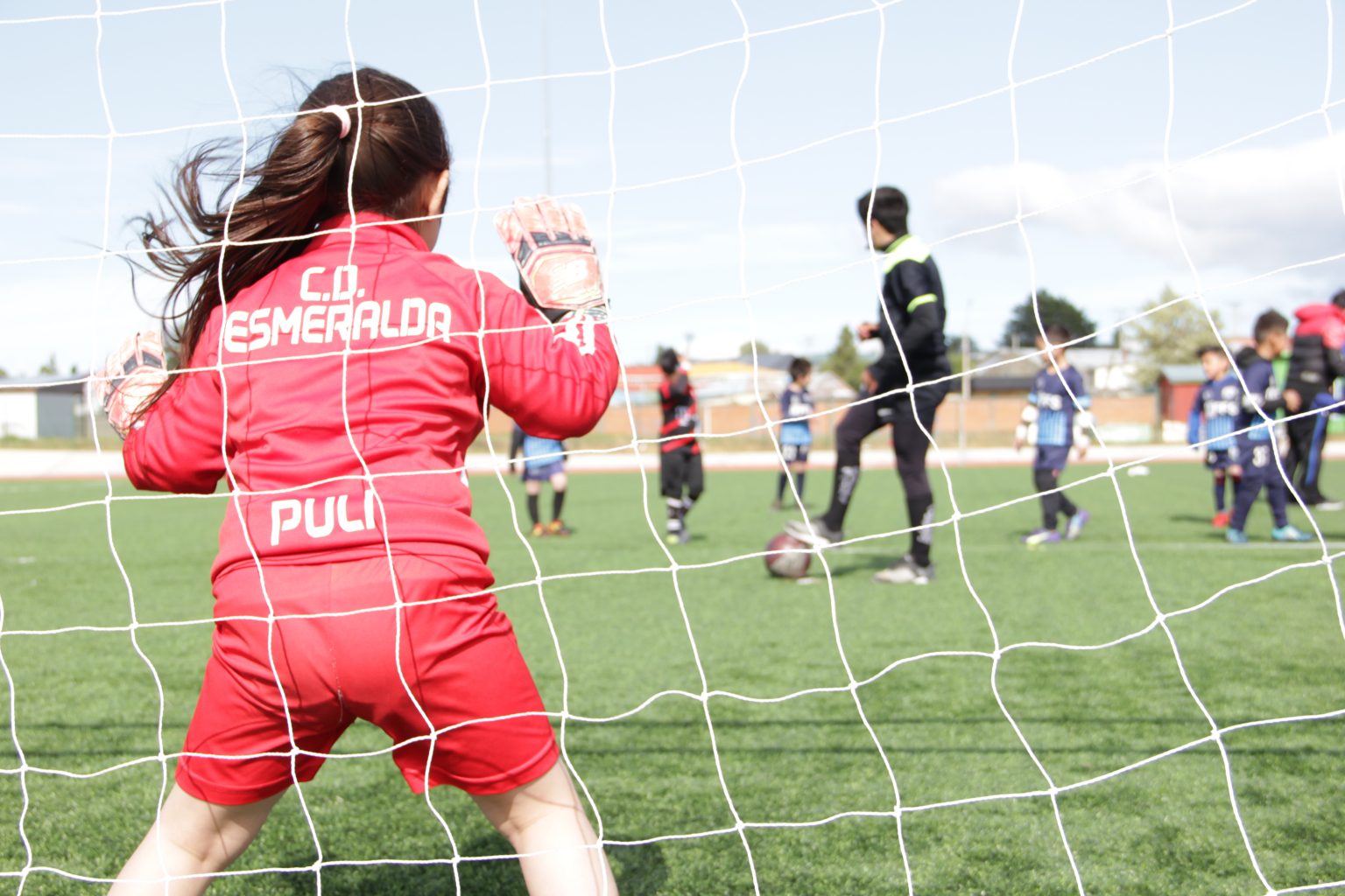 «La gente espera el campeonato de Australis para salir a ...